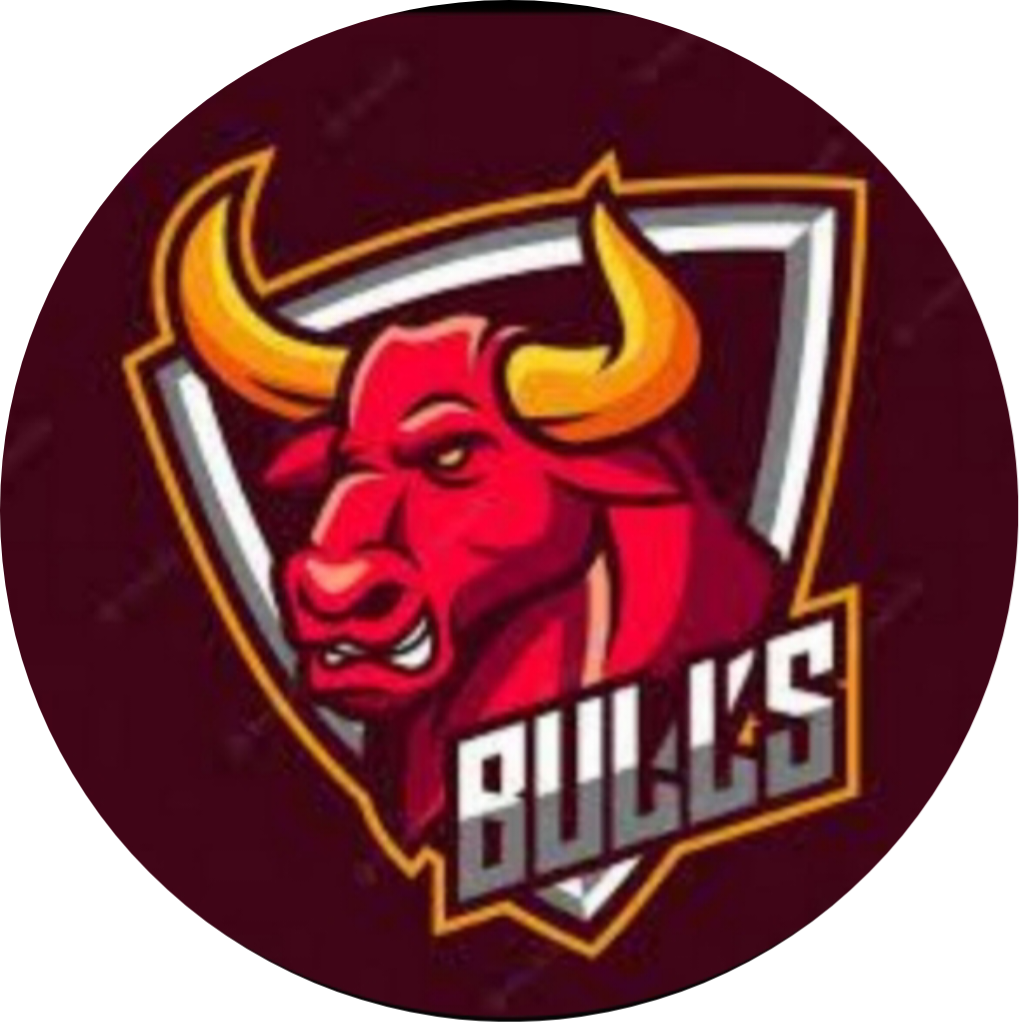 Bulls vs Bear Trading Academy